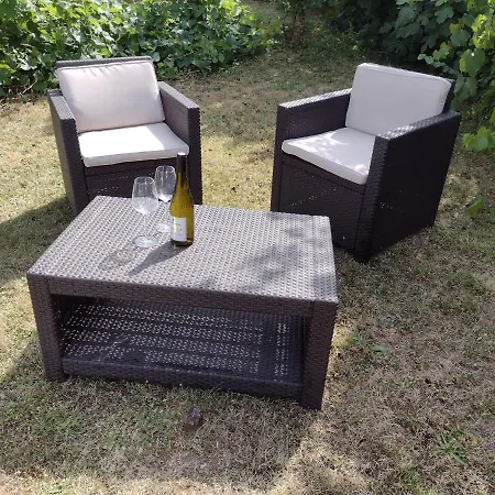 Private-tranquil-peaceful-garden-bbq * Genouille (Vienne)